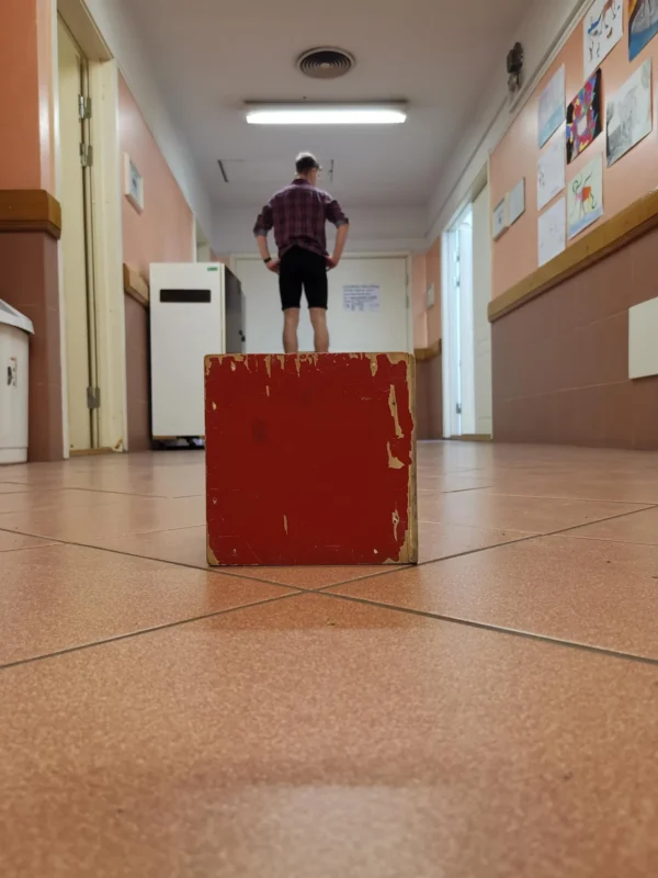 Kényszerített perspektíva