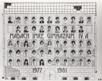 1981. a