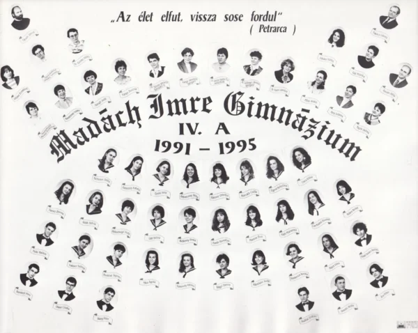 1995. a