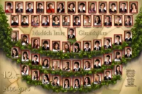 2010. c